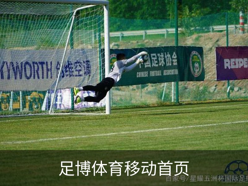 足博体育移动首页介绍